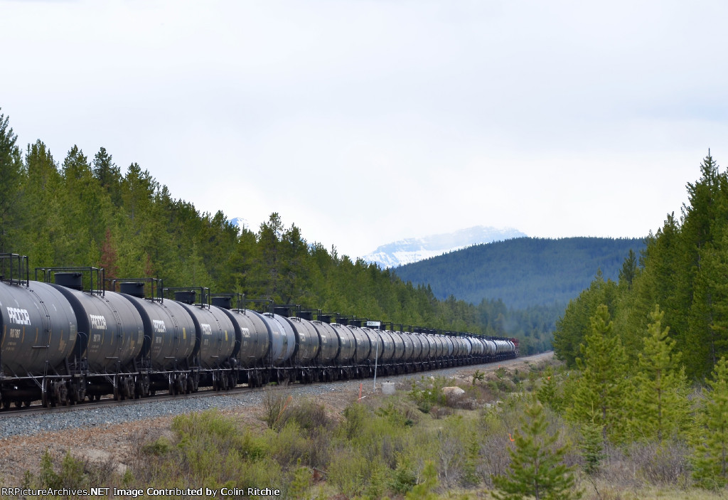 CP 9774/9711 leading a unit tank car train W/B, past Castle Mtn and east of Morant's Curve.